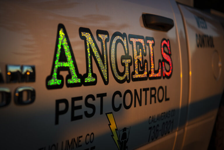 A Car Door with a Logo of "Angels Pest Control"